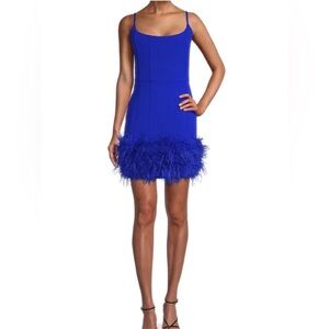 Line & Dot Cobalt Feather Trim Mini Dress